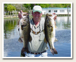 gators big bassx